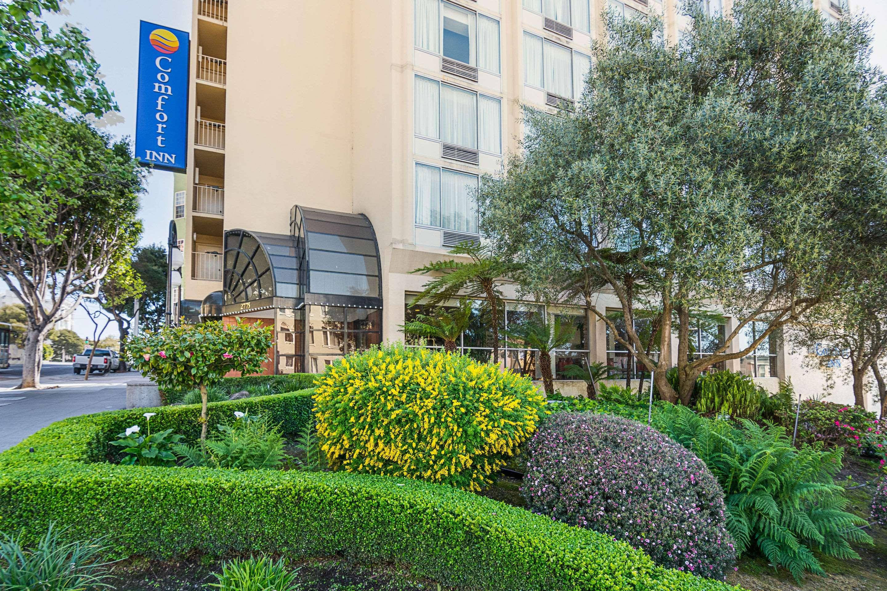 Comfort By The Bay Mini-hôtel 3*